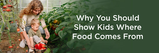 Why You Should Show Kids Where Food Comes From