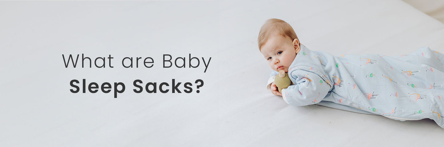 What are Baby Sleep Sacks? - Top FAQs Covered – Nest Designs
