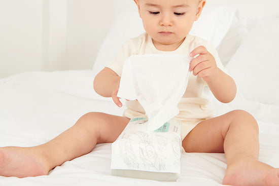 Cotton Dry Baby Wipes