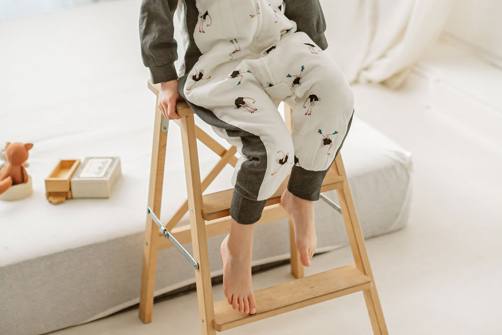 
            
                Load image into Gallery viewer, Raglan Long Sleeve Footed Sleep Bag 2.5 TOG (Bamboo) - Let&amp;#39;s Roll!
            
        