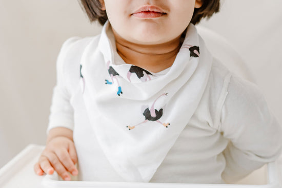 Load image into Gallery viewer, Baby Bandana Bib (Bamboo and Terry Cotton, 2 Pack) - Tall Birds
