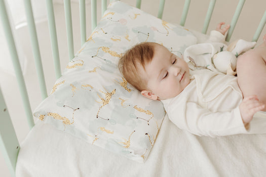 Toddler Pillow and Pillowcase (Bamboo Jersey, Medium) - Cheetah Party