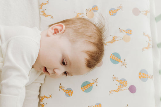 Toddler Pillow and Pillowcase (Bamboo Jersey, Small) - Giraffe Shapes