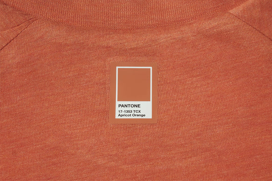 Long Sleeve Footed Sleep Bag 2.5 TOG (Bamboo Jersey) - Pantone Apricot Orange