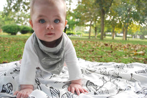 
            
                Load image into Gallery viewer, Bamboo Baby Bandana Bib - Feather Grey - Nest Designs
            
        