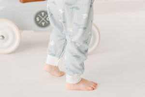 
            
                Load image into Gallery viewer, Organic Cotton Long Sleeve Footed Sleep Bag 1.0 TOG - Beluga Boogie
            
        