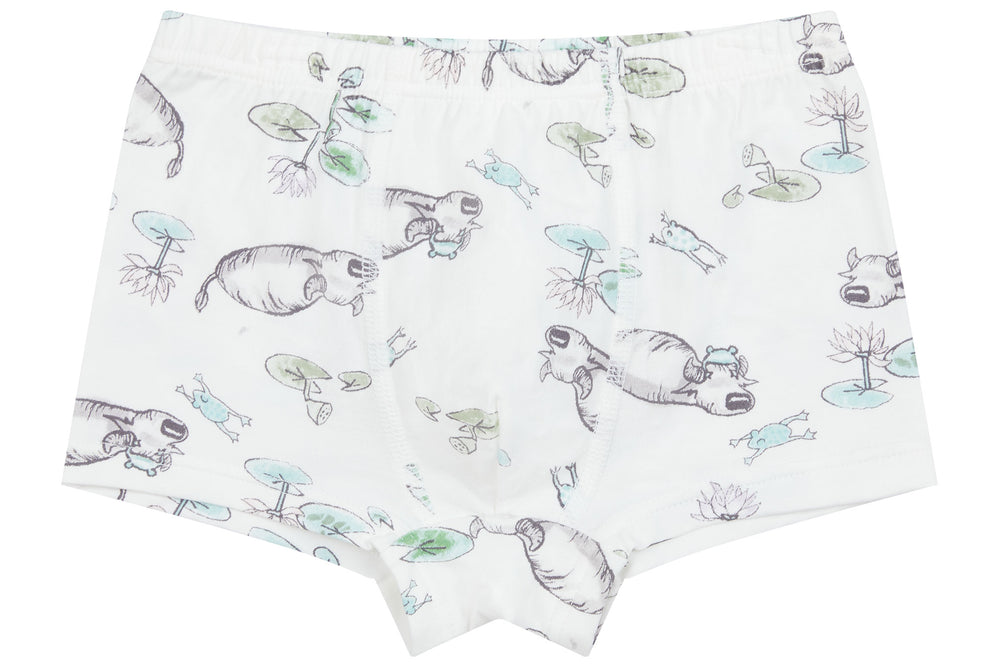 Boys Boxer Briefs Underwear (Bamboo, 2 Pack) - The Crane & The Ox