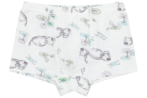 Boys Boxer Briefs Underwear (Bamboo, 2 Pack) - The Crane & The Ox
