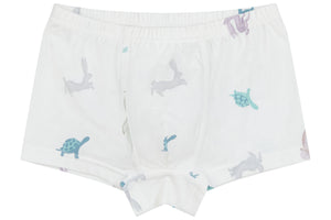 Boys Boxer Briefs Underwear (Bamboo, 2 Pack) - The Hare & The Ant