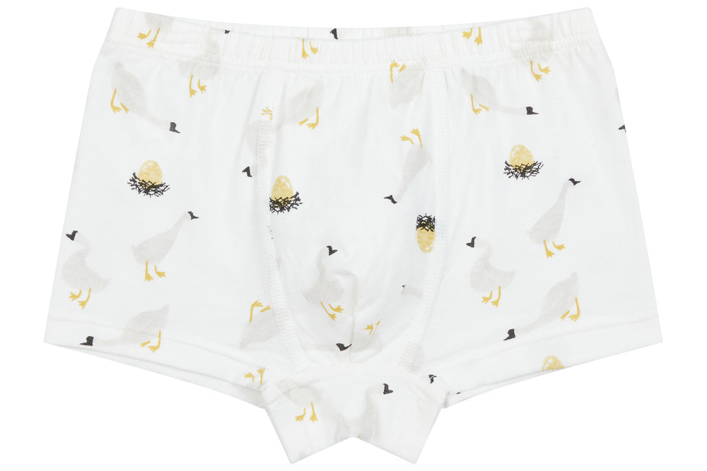 Boys Boxer Briefs Underwear (Bamboo, 2 Pack) - The Lion & The Goose