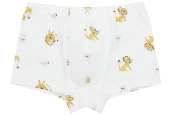 Load image into Gallery viewer, Boys Boxer Briefs Underwear (Bamboo, 2 Pack) - The Lion &amp;amp; The Goose
