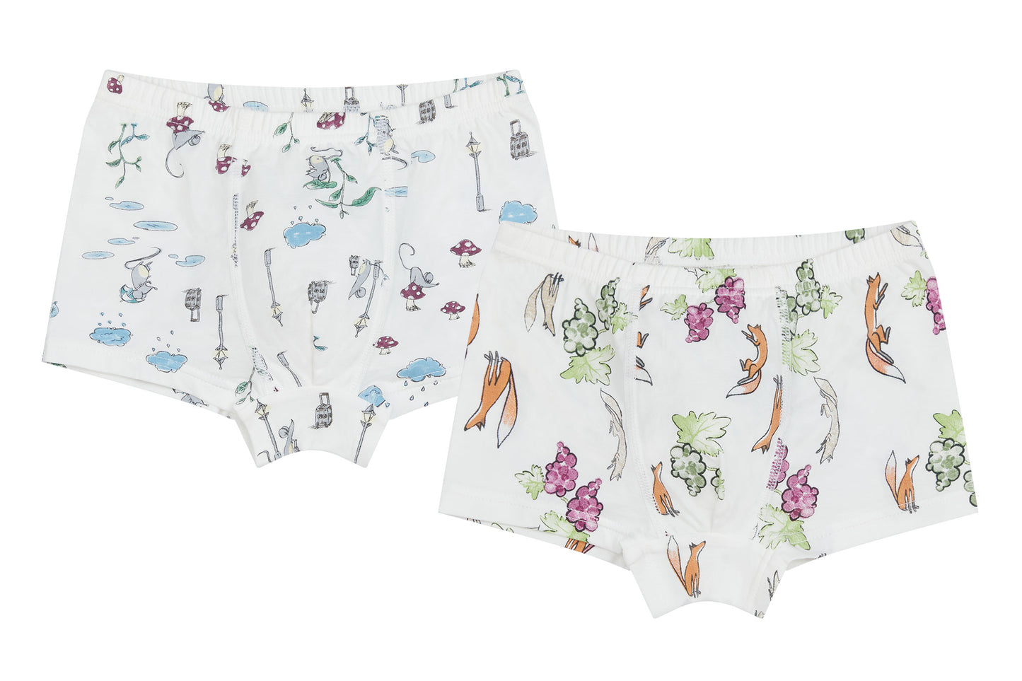 Boys Boxer Briefs Underwear (Bamboo, 2 Pack) - The Mouse & The Fox – Nest  Designs