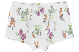 
            
                Load image into Gallery viewer, Boys Boxer Briefs Underwear (Bamboo, 2 Pack) - The Mouse &amp;amp; The Fox
            
        
