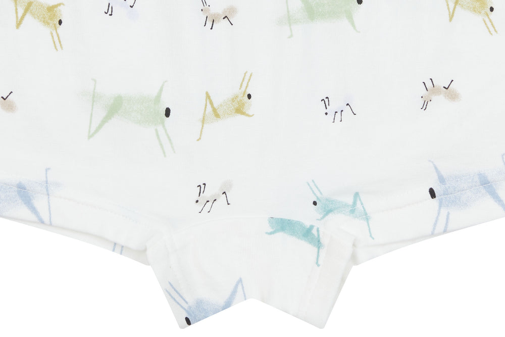 Bamboo Girls Boy Short Underwear (2 Pack) - The Hare & The Ant