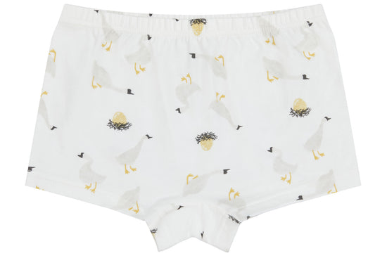 Girls Boy Short Underwear (Bamboo, 2 Pack) - The Lion & The Goose