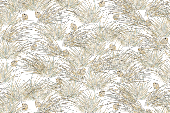 Load image into Gallery viewer, Raglan Bamboo Pima Short Sleeve Sleep Suit 0.6 TOG - Seagulls &amp;amp; Seagrass - Nest Designs
